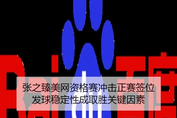 张之臻美网资格赛冲击正赛签位 发球稳定性成取胜关键因素